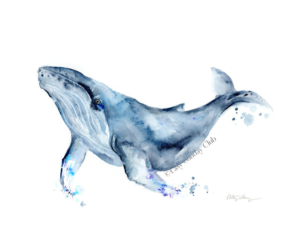 Blue Whale Arts  Blue Whale Arts